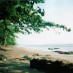 Bangka, : pepohonan pantai minajaya