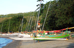 Jawa Timur , Pantai Pasir Putih, Situbondo – Jawa Timur : Perahu Perahu Yang Disewakan Di Pantai Pasir Putih Situbondo