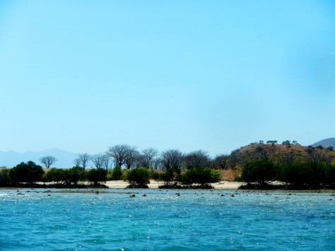 perairan Pantai Poto Tano yang biru - Bali & NTB : Pantai Poto Tano, Sumbawa – NTB