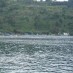 Kep Seribu, : perairan pantai Ajibata
