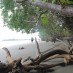 Papua, : pesisir pantai Bozihona