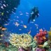 Jawa Barat, : pesona bawah laut pantai candidasa