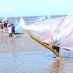 Maluku, : pesta perahu layar Di Pantai Selat Baru