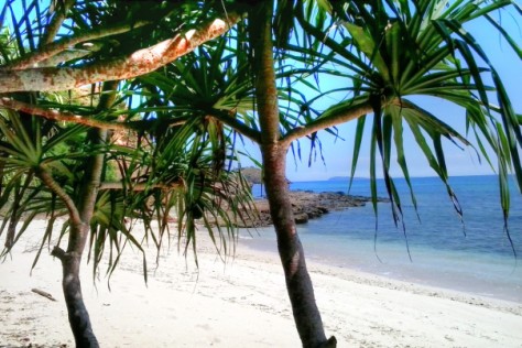 private beach, hamparan pasir putih pantai kertasari - Bali & NTB : Pantai Kertasari, Sumbawa – NTB