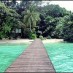 Bengkulu, : pulau Harapan