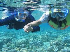 romantisme menyelam di pantai santai - Maluku : Pantai Namalatu, Pantai Santai, Pantai Pintu Kota, Ambon – Maluku