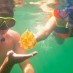 Bali & NTB, : ubur ubur di pulau awi