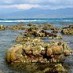 Bali, : Hamparan Batu Karang di Gili Meno