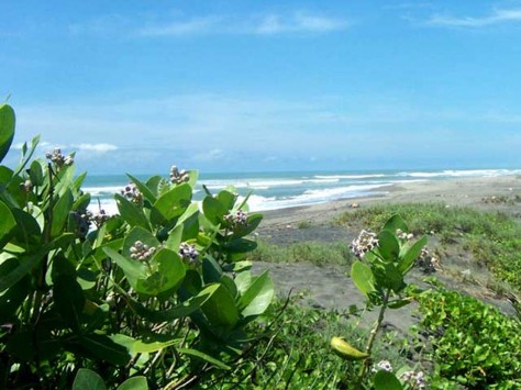 Jawa Barat , Pantai APRA, Cianjur – Jawa Barat : Keindahan Alam Di Pantai Apra