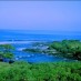 NTT, : Keindahan Panorama Alam Pantai Cicalobak