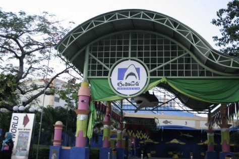 Seaworld - DKI Jakarta : Pantai – Pantai Di Taman Impian Jaya Ancol, DKI Jakarta