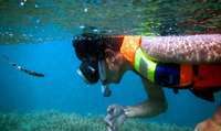 Bali & NTB , Gili Kondo, Lombok – NTB : Snorkling Di Gili Kondo