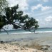 Bali, : pantai karang copong