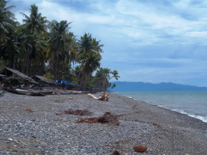 pantai wai ipa yang masih asri - Maluku : Pantai Wai Ipa, Sula – Maluku
