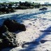 Tips, : pasir pantai dan batu karang yang menghiasi pantai karapyak