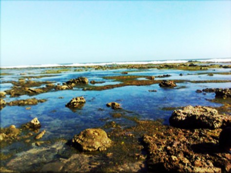 pemandangan pantai karapyak saat surut - Jawa Barat : Pantai Karapyak, Ciamis – Jawa Barat