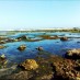 Bengkulu, : pemandangan pantai karapyak saat surut
