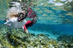 snorkeling di gili sulat - Bali & NTB : Gili Sulat, Lombok – NTB