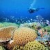 Maluku, : Diving Di Buabua