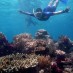 Sulawesi Tengah, : Diving Di Pulau Gam