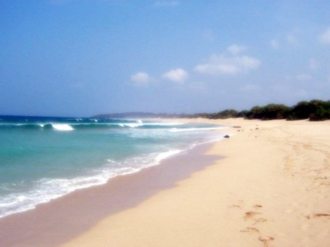 Kawasan Pesisir Pantai Pangumbahan - Jawa Barat : Pantai Pangumbahan Ujung Genteng, Sukabumi – Jawa Barat