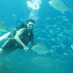 Sulawesi Tengah, : Kegiatan Menyelam Di Pulau Fani