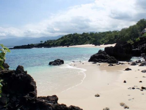 Kondisi Pantai Pulau Adonara - NTT : Pulau Adonara, Flores – NTT
