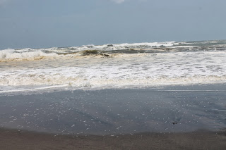 Ombak Di pantai Sereg - Jawa Barat : Pantai Sereg, Cianjur – Jawa Barat