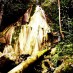 Bengkulu, : air terjun Amasing