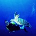 Sulawesi Selatan, : diving di pulau banda