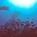 Sulawesi Barat, : kekayaan bawah laut gili Banta