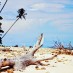 Lombok, : panorama pulau angso duo