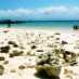Bangka, : pantai di pulau angso duo