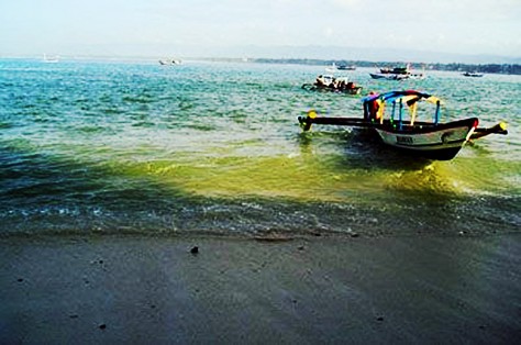 OLYMPUS DIGITAL CAMERA - Jawa Barat : Pantai Pananjung dan Taman Wisata Alam (TWA) Pangandaran, Ciamis – Jawa Barat