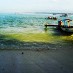 Jawa Barat , Pantai Pananjung dan Taman Wisata Alam (TWA) Pangandaran, Ciamis – Jawa Barat : OLYMPUS DIGITAL CAMERA