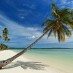Tips, : suasana pantai di pulau hoga