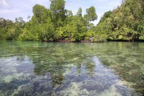 Papua , Hidden Bay, Raja Ampat – Papua : Hidden Bay, Raja Ampat