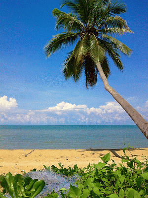 Pantai Pasir Kuning - Bangka : Pantai Pasir Kuning, Tempilang – Bangka