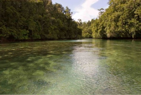 Pemandangan Alam Hidden Bay Yang Di Kelilingi Mangrove - Papua : Hidden Bay, Raja Ampat – Papua