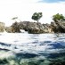 Papua, : batunaga the best dive spot