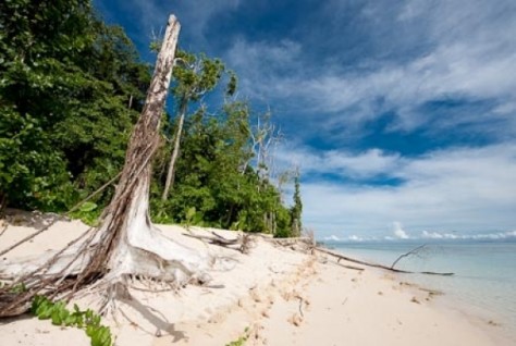 Papua , Pulau Um, Sorong – Papua : keindahan pulau um