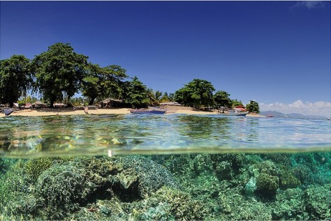 Sulawesi Utara , Pulau Siladen, Manado – Sulawesi Utara : panorama bawah laut pulau siladen