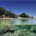 Papua, : panorama bawah laut pulau siladen
