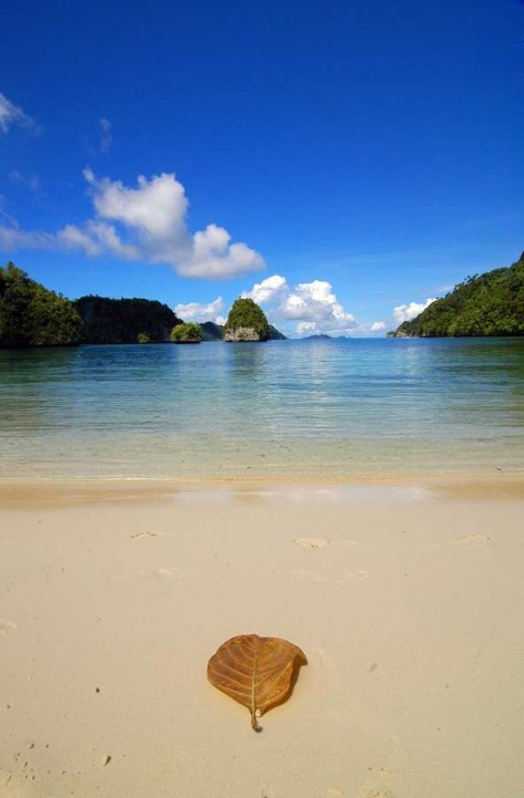 pesona keindahan  pulau rani - Papua : Pulau Rani, Raja Ampat – Papua