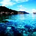 Papua, : Resort Raja Ampat - Pulau Batanta