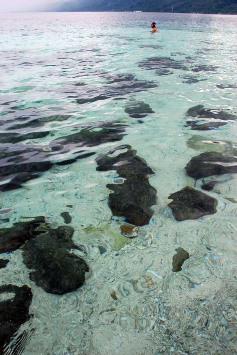 Kepulauan tiga - Maluku : Pulau Tiga, Dua, Satu Di Selatan Ambon – Maluku