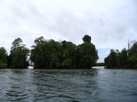 Papua , Pulau Walo, Raja Ampat – Papua : Pemandangan Di sekitar Pulau Walo