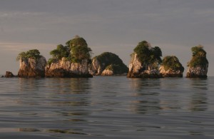 Kepulauan Riau , Pulau Jemur, Riau : Susunan Karang Di Sekitar Perairan Pulau Jemur