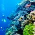 Maluku, : taman laut Pulau Tomia
